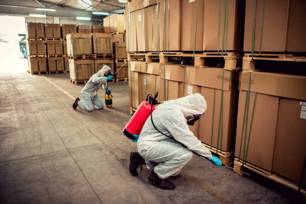 Best Residential Pest Control  in Keyes, CA