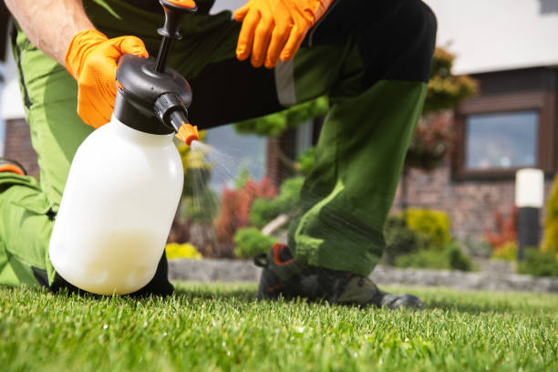 Best Cockroach Control Services  in Keyes, CA