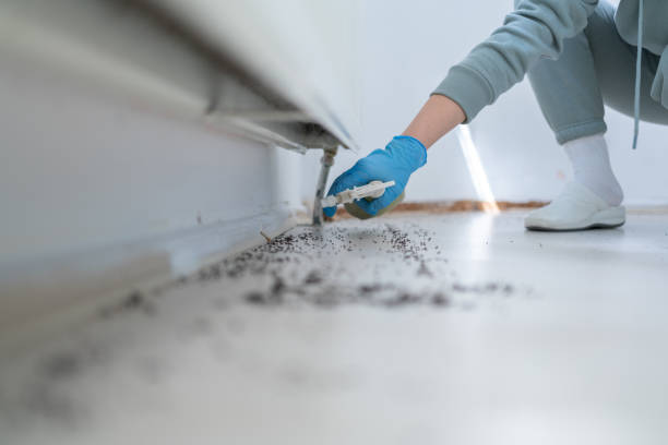 Keyes, CA Pest Control Company
